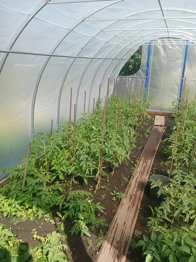 Большой выбор. отличное качество.