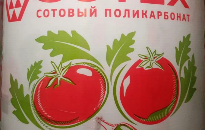 Сотовый поликарбонат в Анжеро-Судженске от 2300